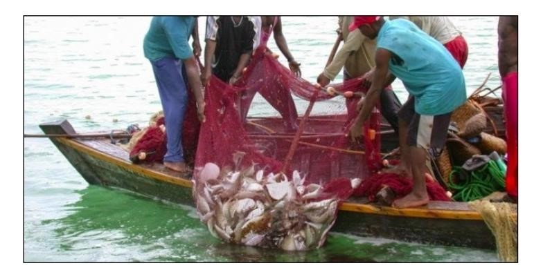 https://sdimg.blob.core.windows.net/images/ShuleDirect/18101/Original/Fishing_1653471961265.png